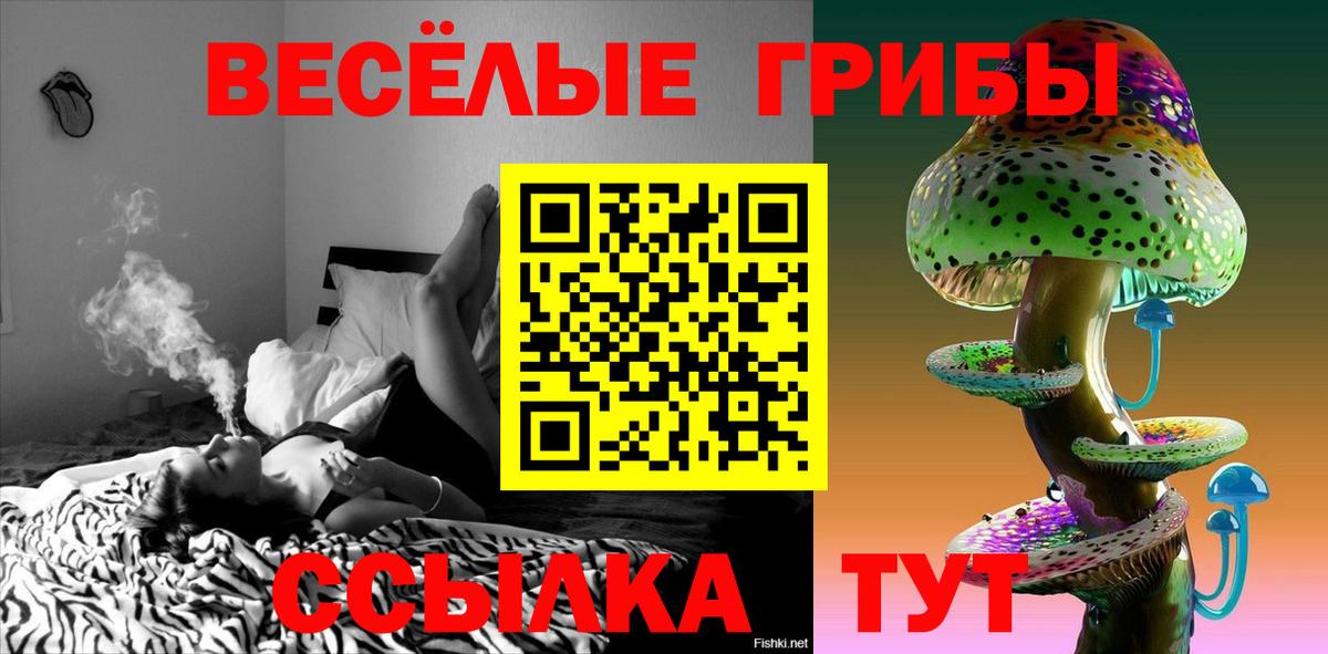 Галлюциногенные грибы мицелий Осинники